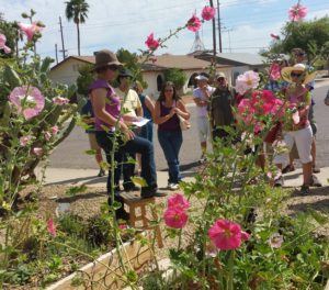 farm tour at The Micro Farm Project