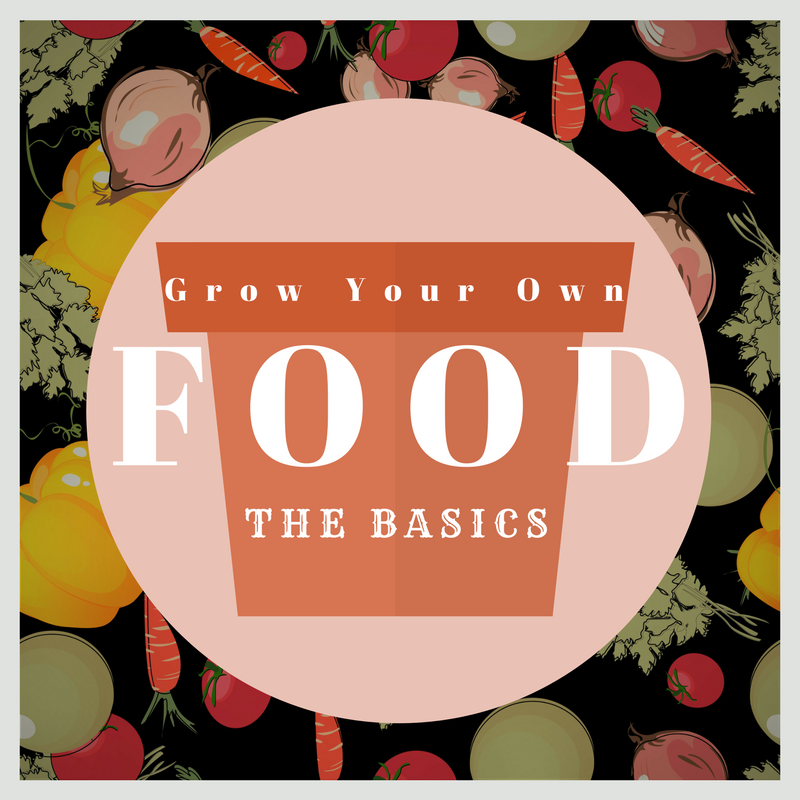 Growing Food: The Basics http://ow.ly/zK8F30dClGC