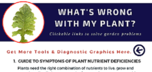 Diagnosing & Solving Plant Problems, such as pests, diseases, & weeds