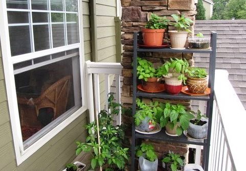 balcony container garden