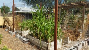 edible landscaping raised beds