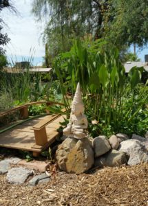 edible landscaping water garden