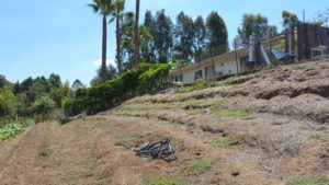 urban farm design on slope