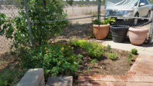 Learn to farm at MCC teaching garden