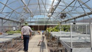 Learn to farm in a greenhouse