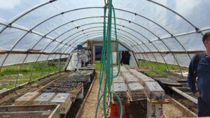 Harriet the Hoop House at the school garden