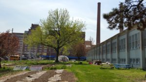 school gardens and farm