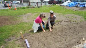 Youth Farm school garden