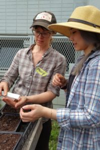 school gardens seed education