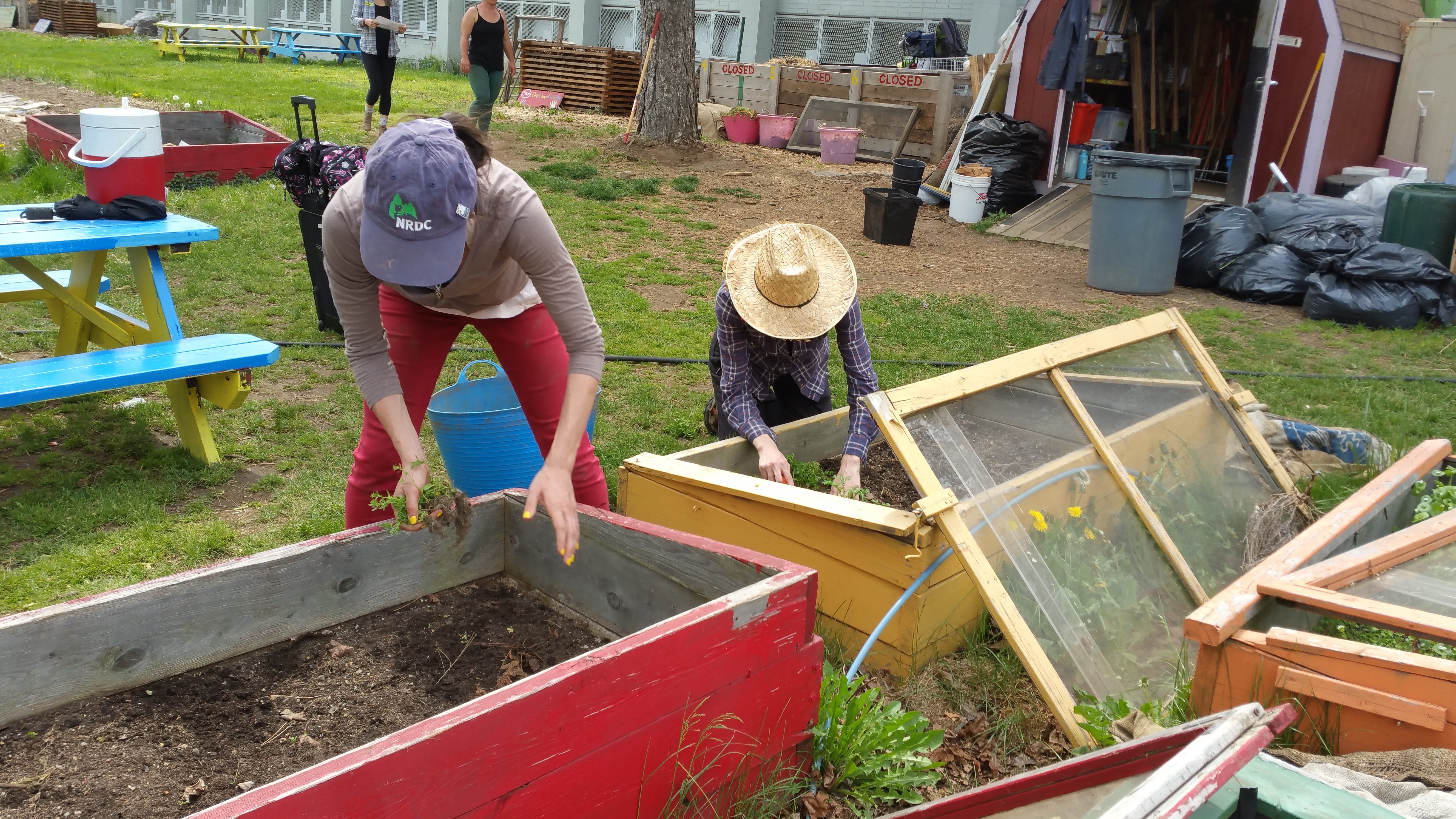 school gardens cold frames