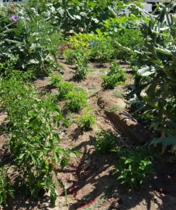 sunken gardens berms