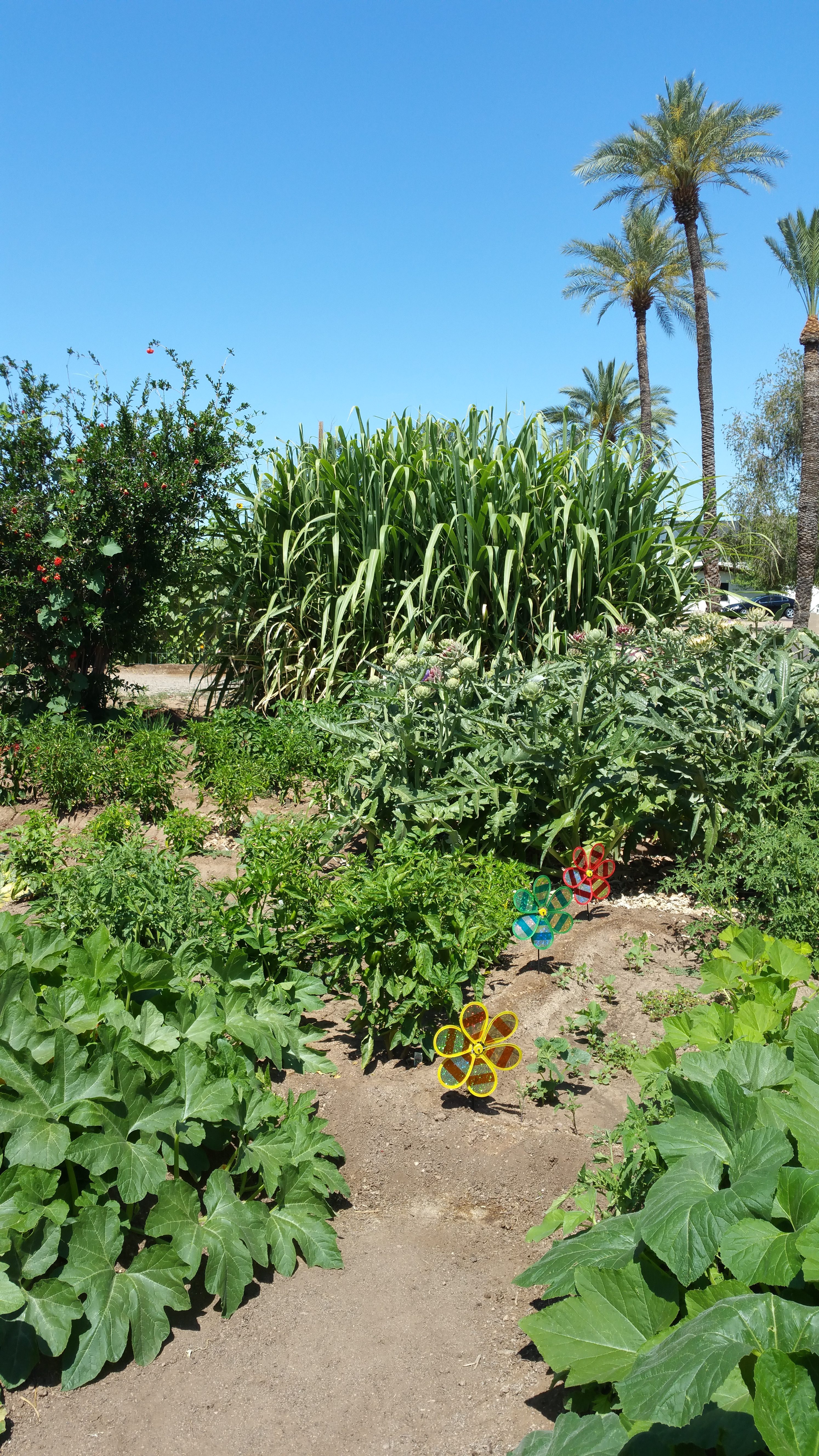 Lush sunken gardens