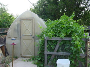 Backyard Permaculture Greenhouse