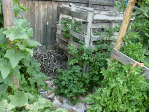 Backyard Permaculture Compost