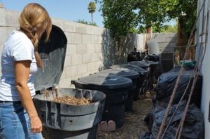 compost soil building bins