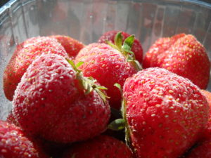 Growing and freezing strawberries