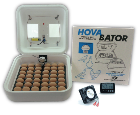 egg incubator